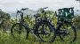 bike rental Burleigh- 