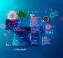 Expert Digital Marketing and Web Development in the USA
