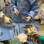 Single-use surgical instruments