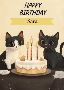 Are You Looking to Get the Best Virtual Birthday eCards?
