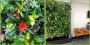 Commercial Moss Wall Art in New York