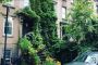 Best Home Moss Wall Art in New York