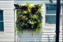 Living Wall Designers In New York