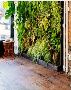 Best Living Walls Services