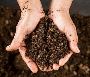 Soil Remediation Service in New York 