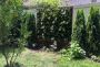 Best Vertical Garden Services in Brooklyn