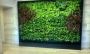 Indoor Living Wall Decor in Brooklyn