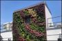 Vertical Garden Services Brooklyn