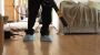 Environmentally Friendly Pest Control Solutions