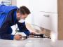 Keep Your Home Pest-Free in Santa Barbara!