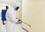Choose Expert For Termite Treatment Services in Los Angeles