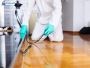 Eco-Friendly Termite Control in Los Angeles | Ecola Termite 