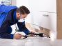 Top Pest Control Experts in Huntington Beach - Ecola Termite