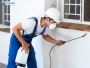 Protect Your Home with Termite Inspections in Los Angeles