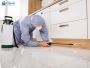 Experts Termite Inspection in Los Angeles – Ecola Termite