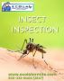Expert Insect Inspection: Protect Your Home