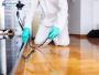  Professional Pest Removal in Los Angeles - Safe & Efficient