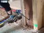 Termite Fumigation Alternatives - Eco-Friendly Solutions
