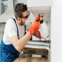 Bug and Pest Control Near Me - Safe & Effective