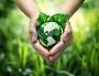 Empower Your Team with Expert Environmental Training Service