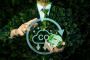 Smart Carbon Management Solutions for Irish Businesses