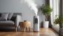 EcoQ Humidifiers