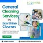 Eco Shine Cleaners - Expert General Cleaning Services | Call