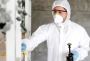 Your Trusted Termite Specialists: Keeping Your Home Safe