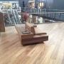 Eco Timber Group: Engineered Timber Flooring in Melbourne