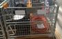 High-Quality Wire Mesh Pallet Cages For Warehouse Storage