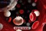 Blood Cancer Treatment in India?