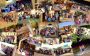 Educational Tour Operators Educational Tour Operators