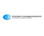 Efficient Cleaning Services