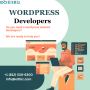 Hire Dedicated WordPress Developer