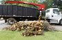 Hauling Service St Louis MO Hauling Service St Louis MO