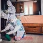 Top-Rated Mice Pest Control Near Me in Washington DC to Prot