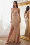 Cinderella Divine Dresses | Elbisny.com