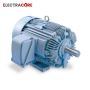 Brake Motors, DC Motors & IEC Metric Motors – Electric Motor