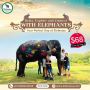 Experience the best of Jaipur with Elefanjoy Experience the best of Jaipur with Elefanjoy