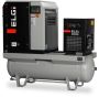 Rotary Screw Air Compressors | ELGi Indonesia