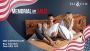 Eli & Elm’s Pillow Sale Is On – Memorial Day Comfort Starts 