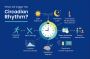 Circadian Rhythm — Health Impacts Circadian Rhythm — Health Impacts
