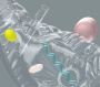 Comprehensive Medical Consulting Solutions in Los Angeles fo