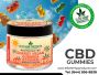 Power CBD Gummies: Your Natural Boost for Energy and Focus!