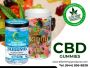 Feel the Calm, Taste the Sweet—CBD Gummies You’ll Love