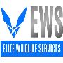 Elite Wildlife Services