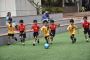 Pre Nursery School In Pune