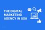 Professional PPC Ad Management for More Leads USA 