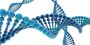  PGT Test in Delhi - Ram Prakash Embryologist