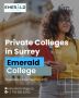Private Colleges in Surrey BC: Specialized Diploma Programs